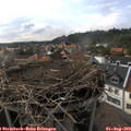 17_25-nest.jpg