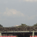 17_30-mast.jpg