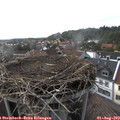 17_35-nest.jpg