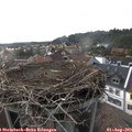 17_45-nest.jpg