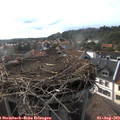 17_55-nest.jpg