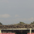 18_00-mast.jpg