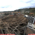 18_05-nest.jpg