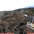 18_10-nest.jpg
