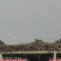 18_15-mast.jpg