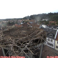 18_15-nest.jpg