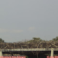 18_20-mast.jpg