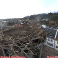 18_20-nest.jpg