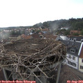 18_25-nest.jpg