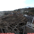 18_30-nest.jpg