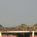18_35-mast.jpg
