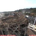 18_35-nest.jpg