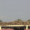 18_40-mast.jpg