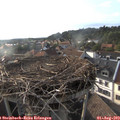 18_40-nest.jpg