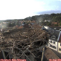 18_45-nest.jpg