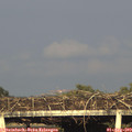 19_00-mast.jpg
