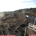 19_00-nest.jpg