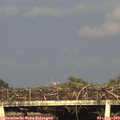 19_05-mast.jpg