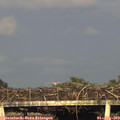 19_15-mast.jpg
