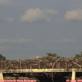 19_20-mast.jpg
