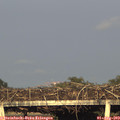 19_25-mast.jpg