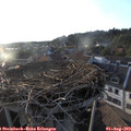19_35-nest.jpg