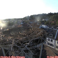 19_40-nest.jpg