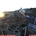 20_25-nest.jpg