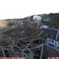 20_30-nest.jpg