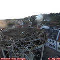 20_35-nest.jpg