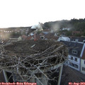 20_40-nest.jpg