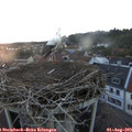 20_45-nest.jpg