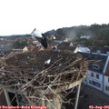 06_05-nest.jpg