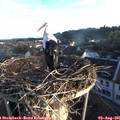 06_40-nest.jpg