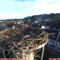 06_45-nest.jpg