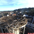 07_00-nest.jpg