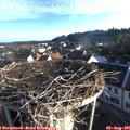 07_05-nest.jpg