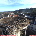 07_10-nest.jpg