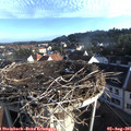 07_20-nest.jpg