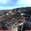 07_25-nest.jpg