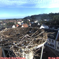 07_30-nest.jpg