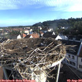 07_35-nest.jpg