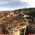 07_40-nest.jpg
