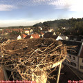 07_45-nest.jpg