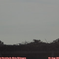 07_50-mast.jpg