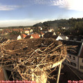 07_50-nest.jpg