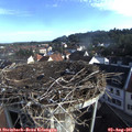 07_55-nest.jpg