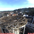 08_00-nest.jpg