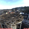 08_05-nest.jpg