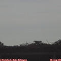 08_10-mast.jpg